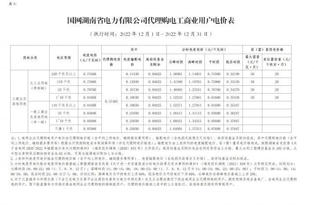 国网湖南省电力有限公司代理购电工商业用户分时电价表-2022年12月